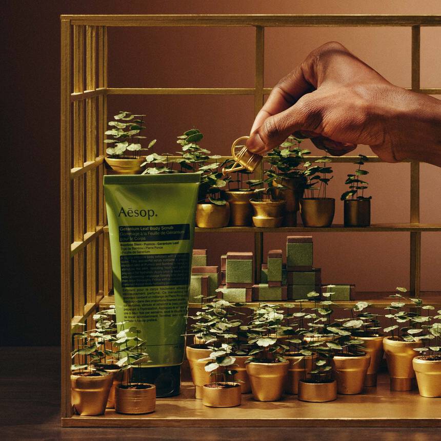 Party in the Greenhouse—A Geranium Leaf Trio | Aesop Kuwait